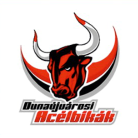 Dunaújvárosi Acélbikák